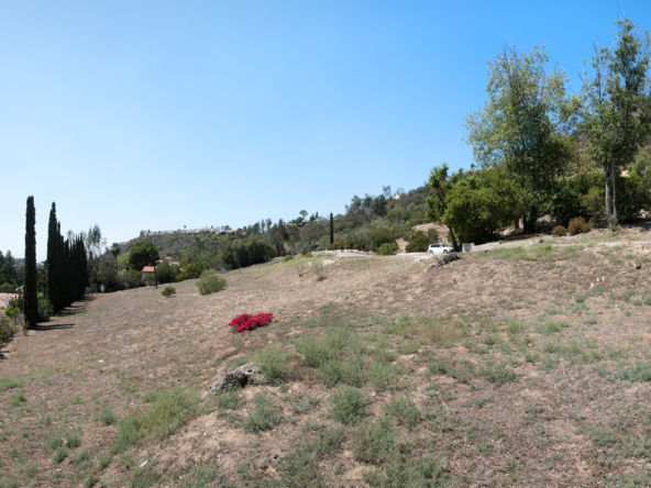 12502-Daniger-Rd-Panorama3(mls)